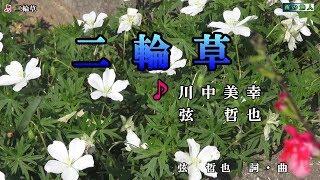 川中美幸＆弦哲也【二輪草】カラオケ