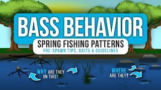 SPRING Bass Fishing PATTERNS   – WHERE are they? and WHY are they there?