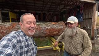 sawing the butt log from the two ugly cherry logs # 630