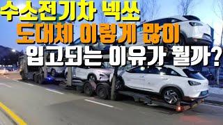 넥쏘가 많이오는 이유는?? #노이즈킹 #넥쏘방음 #넥쏘풍절음