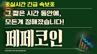 [페페코인 전망 분석] ※실시간 긴급 속보※ 그 짧은 시간 동안에, 모든게 정해졌습니다!