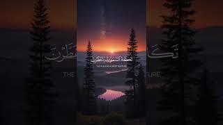 Relax Your Ears With The Holy Quran
