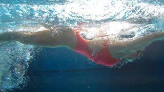 Butterfly Swimming / MOTIVATIONAL VIDEO