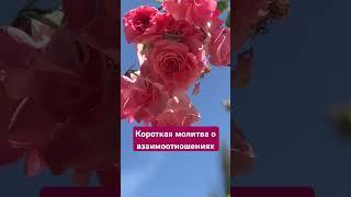  Короткая молитва на сегодня #бог #молитва #семья #друзья #жизнь #душевноодуховном #вера