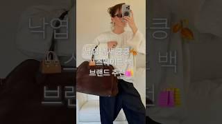 잡지사 직원 추천️ 스웨이드 백 브랜드️ (저렴이부터 고렴이까지)
