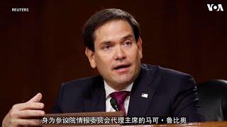 佛罗里达州联邦参议员鲁比奥：推动《维吾尔人权法案》