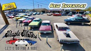Classic American Muscle Cars Maple Motors 4/14/25 Hoods Up USA Rides Deals Hotrods For Sale Vintage