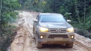 Sustainable forest management project, Rondônia, Brazil