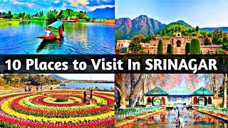 10 Famous Places to Visit in Srinagar District || Srinagar Famous Tourist Attractions || The Honest