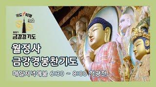 금강경 봉찬 저녁 온라인 기도 | 2024년 12월 23일 월요일 저녁 6:30~8:00