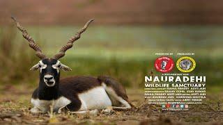 NAURADEHI WILDLIFE SANCTUARY  -  A Documentary Film