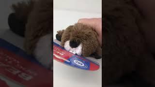 Your Cute AKC Beaver Dog Toy