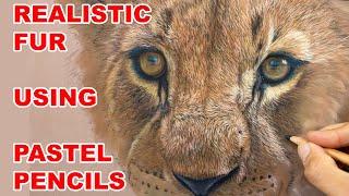 Realistic Fur Texture Tutorial: Mastering Pastel Pencils With Jason Morgan Wildlife Art Lessons