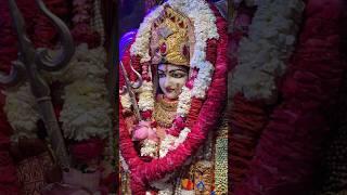 navratri Special bhajan 2025 #matarani #bhakti #viral #whatsappstatus @TSeriesBhaktiSagar
