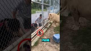 This Man Made A Big Mistake With A Lion 