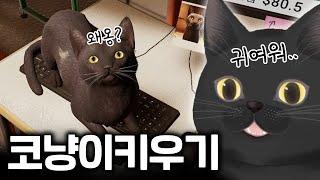 공포의 창고알바.. 이유는 고양이 단 한마리? 