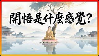 「開悟」到底是什么感覺？佛陀的回答，沒有任何一個字講感覺，卻讓人瞬間徹悟！#佛教 #佛教故事 #佛法智慧 #修行 #開悟