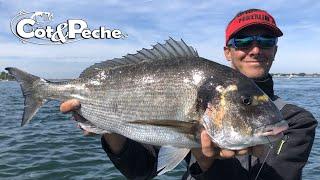 Pêche de la dorade royale avec Yoann Houssais