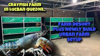 NEWLY BUILD SETUP Ng Ating URBAN FARM dito Sa RESORT FARM ng LUCBAN QUEZON!MAPAPADAYO KA TALAGA DITO