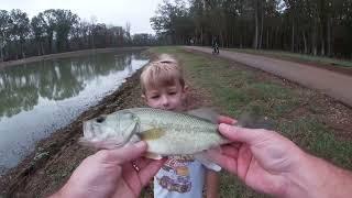 Fishing for bass in North Alabama Huntsville pond.