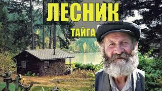 ЖИЗНЬ ЛЕСНИКА ИСТОРИЯ из ЖИЗНИ ОТШЕЛЬНИК ХОЗЯИН ЛЕСА СУДЬБА в ТАЙГЕ ЖИЗНЕННЫЕ РАССКАЗЫ НА НОЧЬ