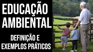 O QUE VOCÊ PRECISA SABER SOBRE EDUCAÇÃO AMBIENTAL | MEIO AMBIENTE | Marcela Miranda