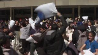 Toronto witnesses a flurry of joy as hundreds engage in whimsical 'pillow fight'