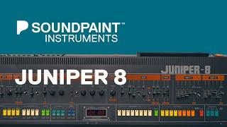 Soundpaint Instrument  - Juniper 8