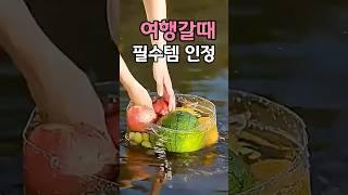 여행 필수템 인정 #여행필수템 #접이식대야 #캠핑용품  #휴대용대야
