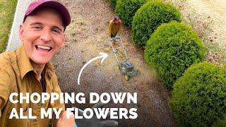 Mowing down debris in early spring to promote new growth