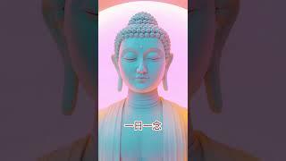 念佛如種福田，一日一念，心生蓮花。願你日日清明，無病無災。 #佛學智慧 #正能量 #修心修行 #菩提解脫道 #人生感悟 #佛教文化 #禅意生活
