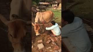 Shubham upadhyay