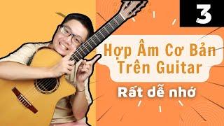 Hợp Âm Guitar Cơ Bản Và Cách Chuyển Hợp Âm | Lộ Trình Học Guitar bài bản #3