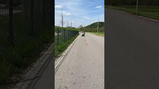 Schrittslalom Training #shorts | Frey Fahren Fahrschule