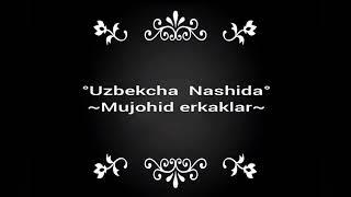 SIZ IZLAGAN NASHIDA ( EY MUJOHID ERKAKLAR ) ЭЙ МУЖОХИД ЭРКАКЛАР Узбекча нашида