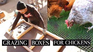 How To Keep Grass With Chickens - Grow Grass For Chickens With Grazing Box