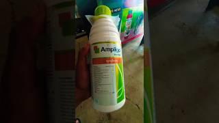 Ampligo Insecticide| Syngenta Ampligo Insecticide |Ampligo Syngenta| #syngenta #shorts #insecticide