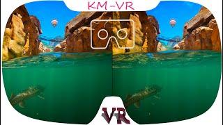 3D VR VIDEO 550 4K vr video