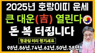 2025년 호랑이띠 운세 - 을사년 범띠운세! 천복운, 금전.재물운과 사업운 합격운 자녀운이 좋은 범띠 운세!