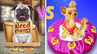 POOR vs RICH PET OWNER || Best Gadgets And Hacks For Your Pets