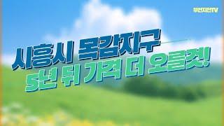 시흥 목감지구 5년 뒤 가격은 더 많이 오릅니다! 무조건 보유하세요! [부동산 투자상담]