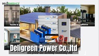 Deligreen Power Co., Ltd. - Lithium Ion Battery Manufacturer