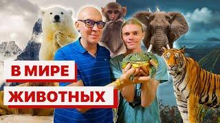 В мире животных. Путешествия натуралистов. Захватывающие истории