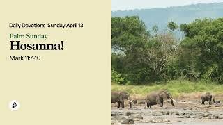 Hosanna! – Daily Devotional
