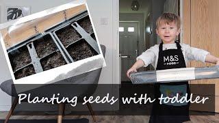 Planting seeds with toddler