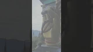 Blessing hand #enjoy #blessings #God #prayers #shorts #viralshorts #viralvideos #reels #yon10 #video