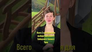 Подберите идеальный Сибирский Банный Чан Ставьте «+» в комментарии, расскажем подробности.