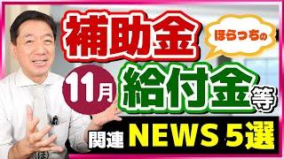 【給付金は実現の見通し、電気・ガス補助、103万円の壁など～11月度 補助金・給付金ニュース５選】倒産動向、9月は10年ぶり800件台/ ユニークな自治体の助成金/ 厚労省支援策 （24年11月時点）