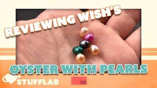 Are Pearl Oysters from Wish Worth It? | Product | Stuff Lab