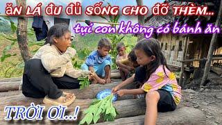 " Vị Đắng Của Cuộc Đời " Mấy em nhỏ trên NÚI CAO ăn lá ĐU ĐỦ sống chấm muối...vì GIA CẢNH NGHÈO /313